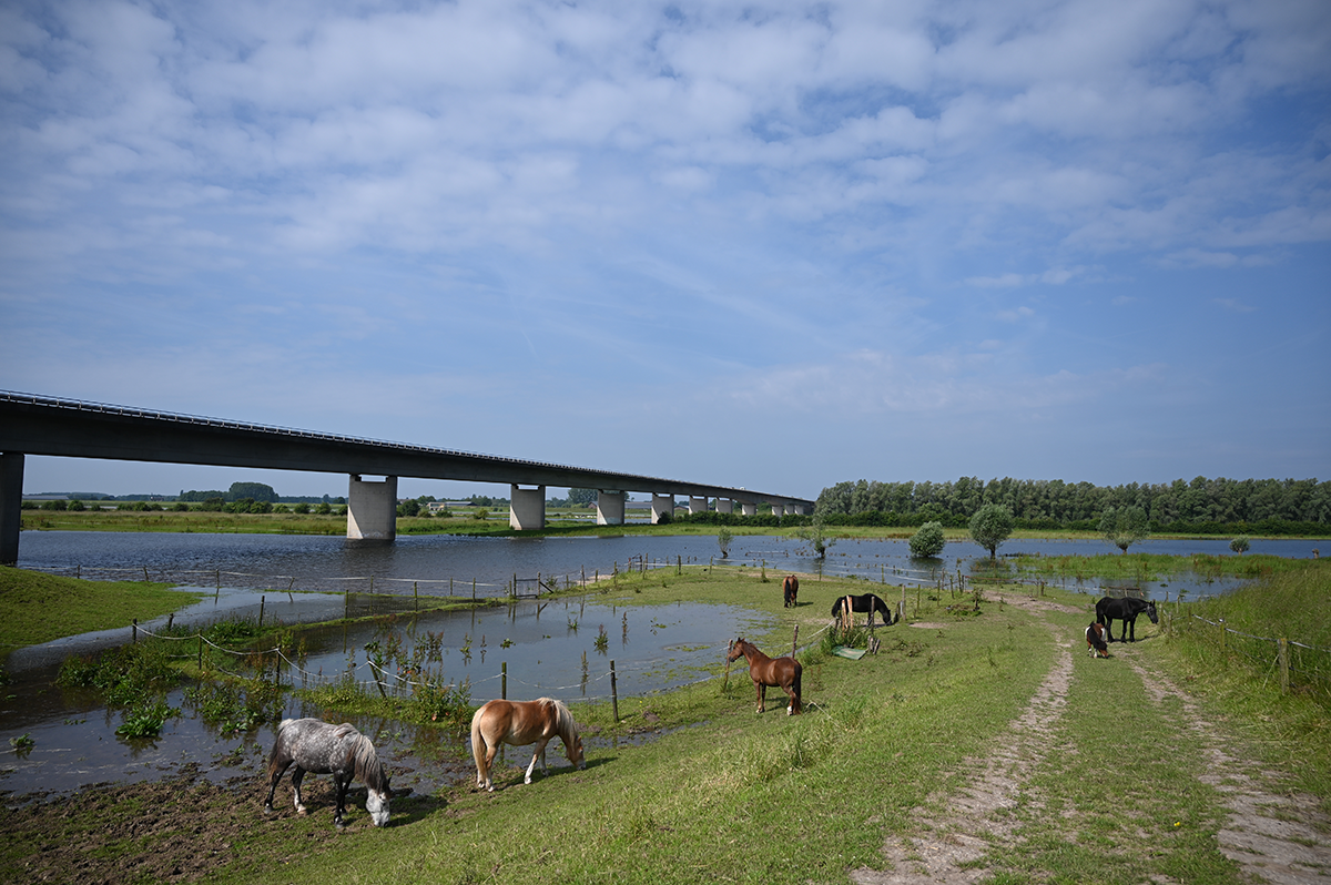 Bruggen bouwen